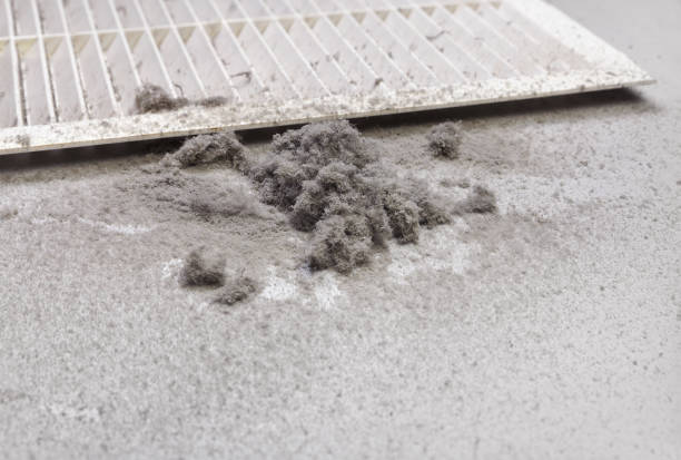 Best Home Air Vent Cleaning  in Little Falls, NY