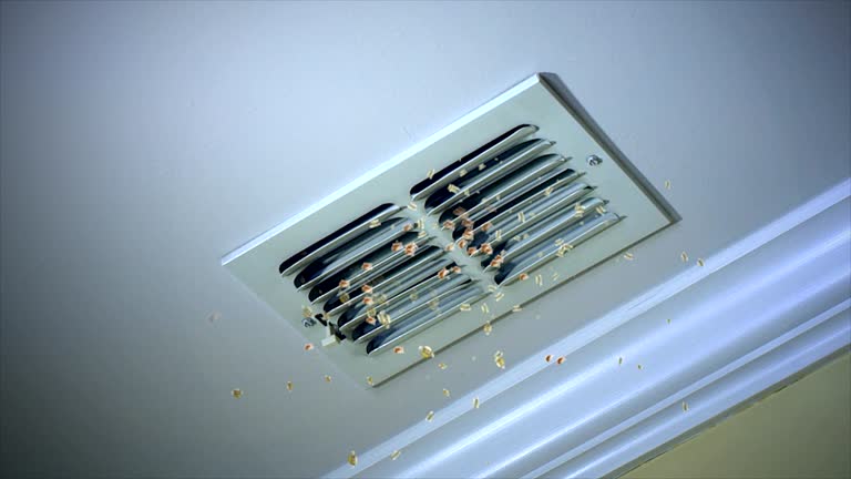 Best Affordable Duct Cleaning Services  in Little Falls, NY