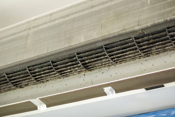 Best HVAC Duct Inspection Services  in Little Falls, NY
